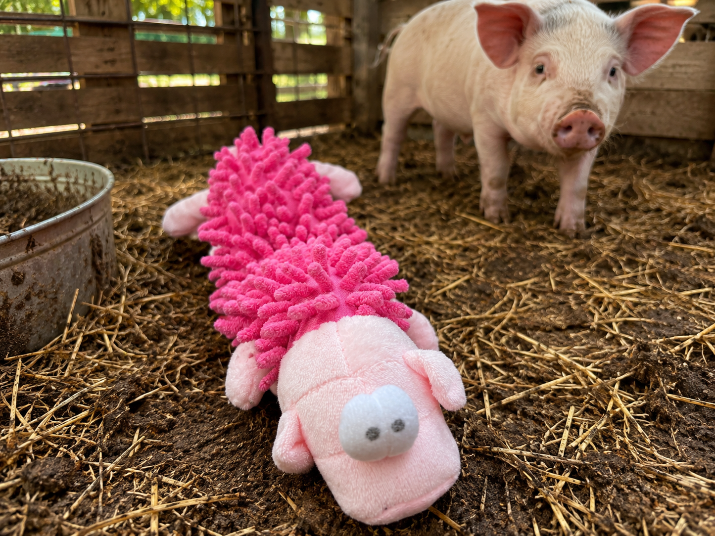 Funny Plush Pig Dog Toy with Squeaker & Mop Body