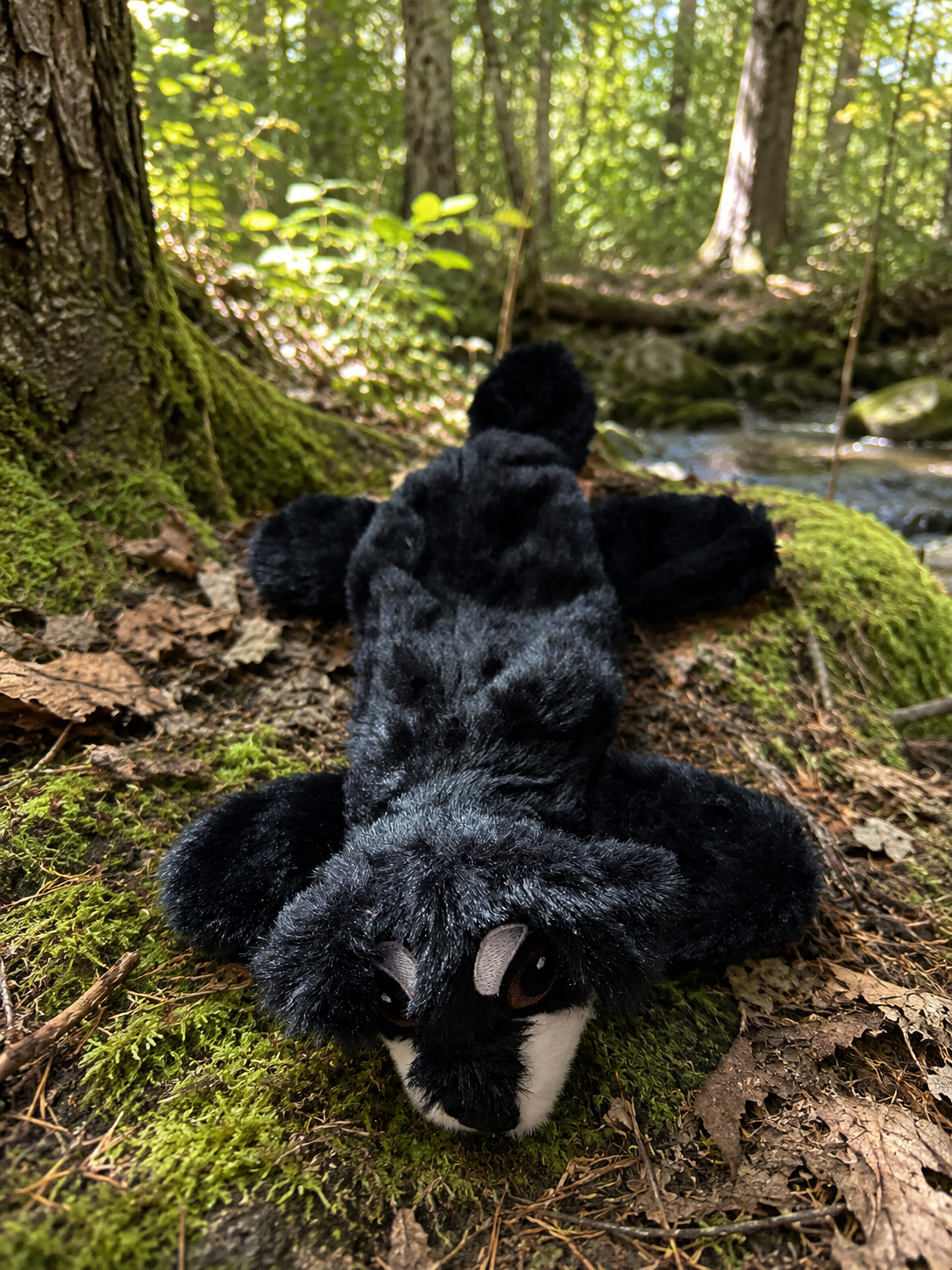 Don't Poke the Bear™ Plush Dog Toy | Squeaky Woodland Dog Toy