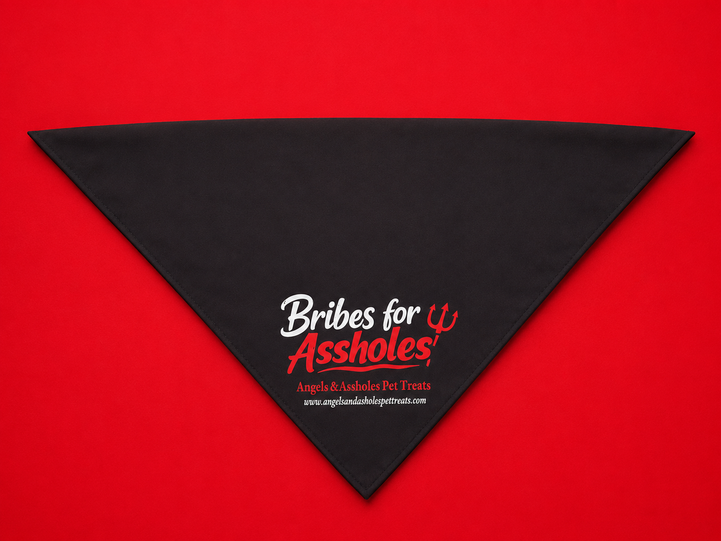 Two-Sided Bandana