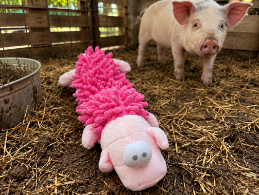 Funny Plush Pig Dog Toy with Squeaker & Mop Body