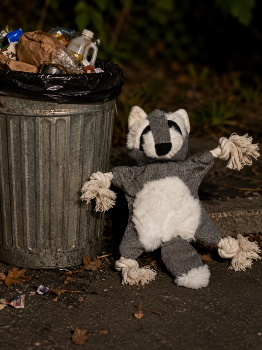 Trash Panda Trouble™ Rope Toy – Tough Raccoon for Dogs Who Love Chaos