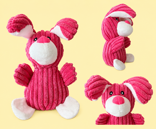 Bunny Business: Some Bunny Chose Chaos Dog Toy