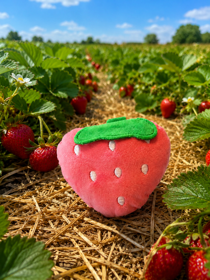 🍓 Berry Bad Decisions Strawberry Plush Dog Toy