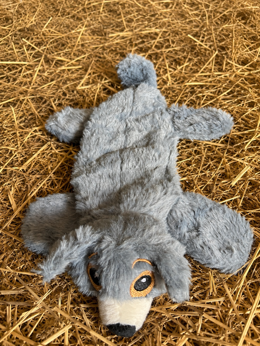 🐻 Bear Hug Flat Plush Dog Toy